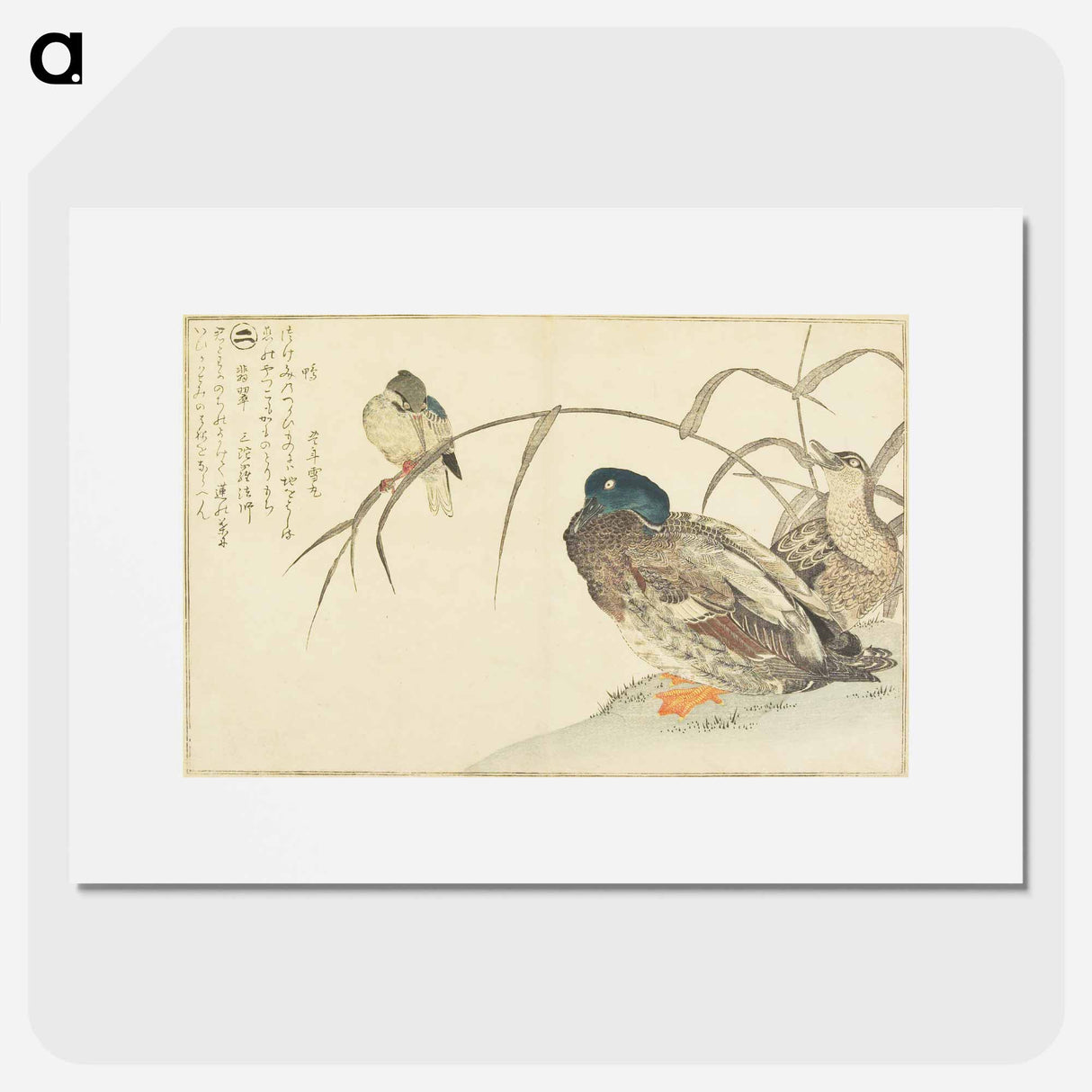 アートポスター-Mallards and a Kingfisher - 喜多川 歌麿 Poster.