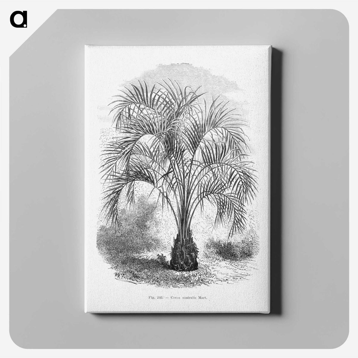 1-96_Les-Palmiers-Histoire-Iconographique_canvas