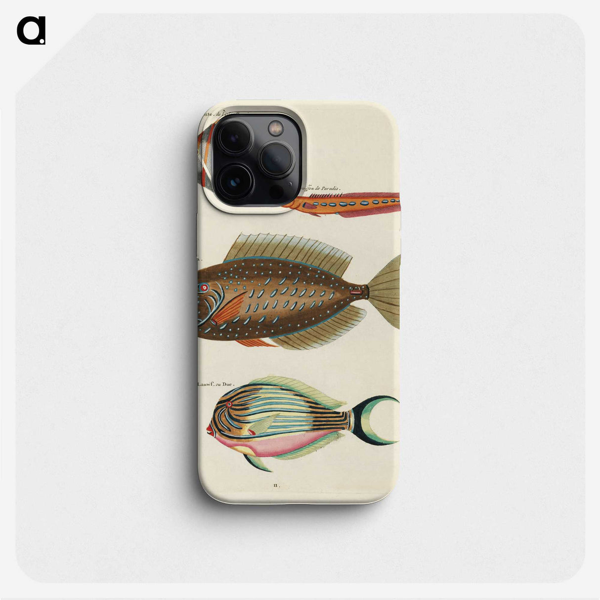 1-96_Louis-Renard_phone