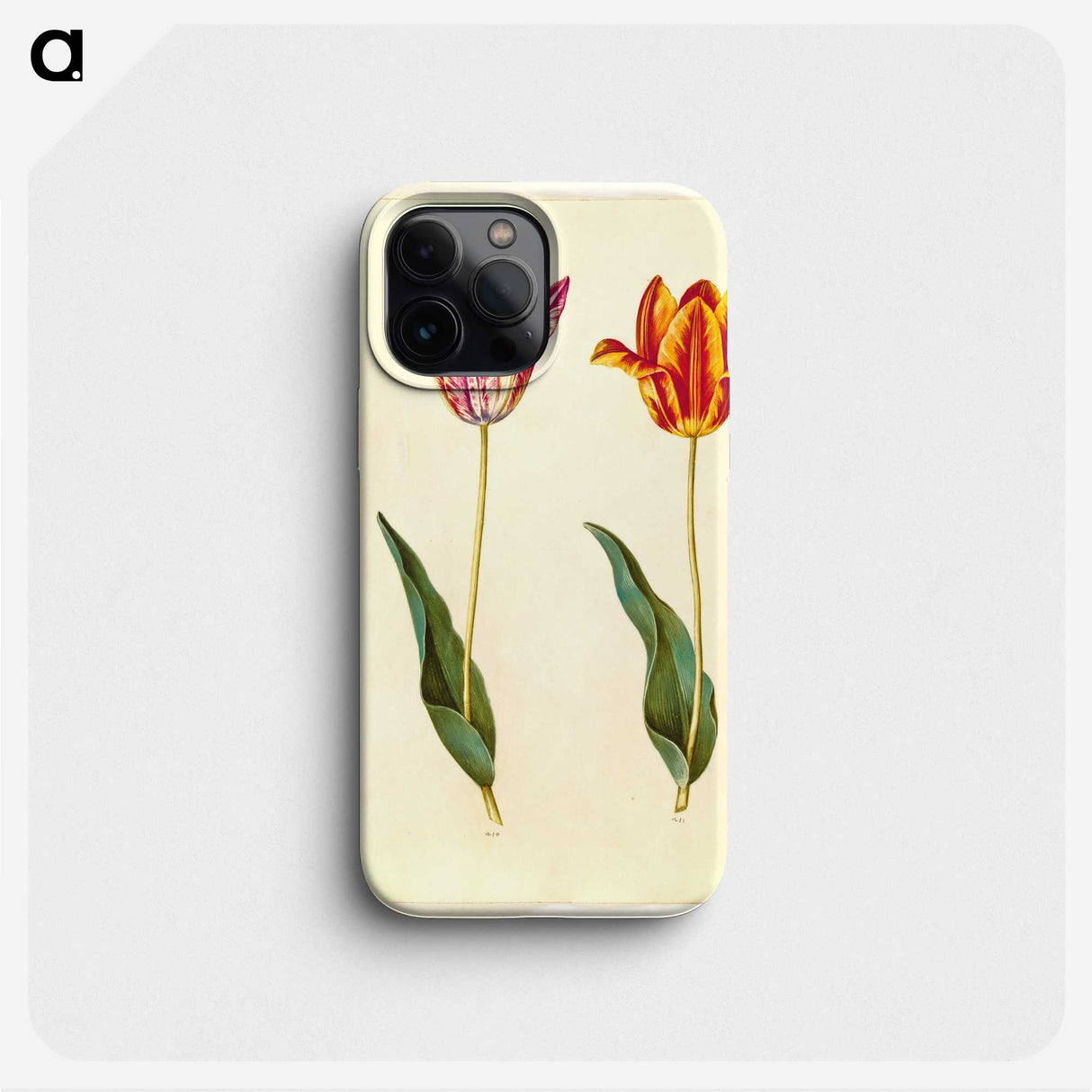 1-96_Maria-Sibylla-Merian_phone