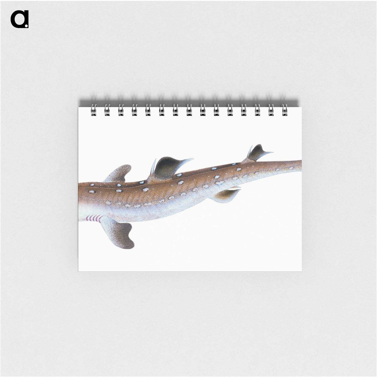 1-96_The-Natural-History-of-British-Fishes_memo