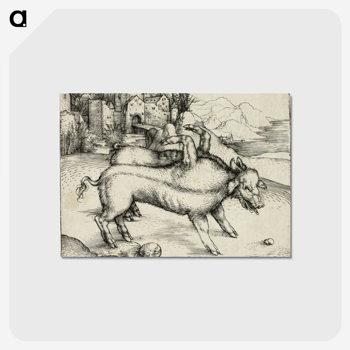 1-97_Albrecht-Durer_postcard