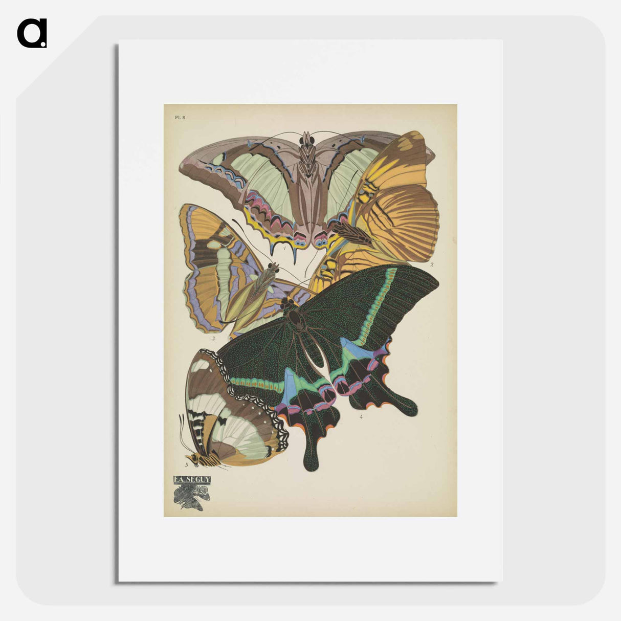 E.A. Séguy's vintage butterflies insect illustration - E.A.セギー Poster.