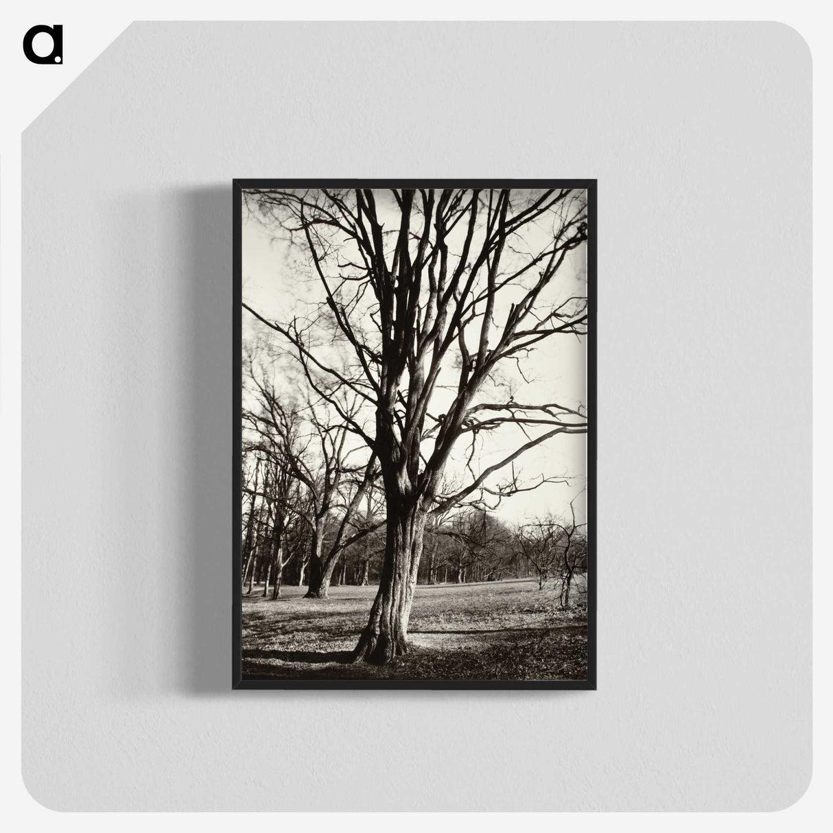 1-97_Eugene-Atget_blk-crop