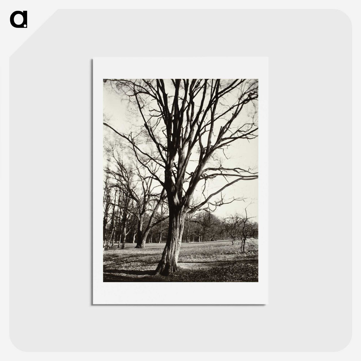 1-97_Eugene-Atget_hagaki