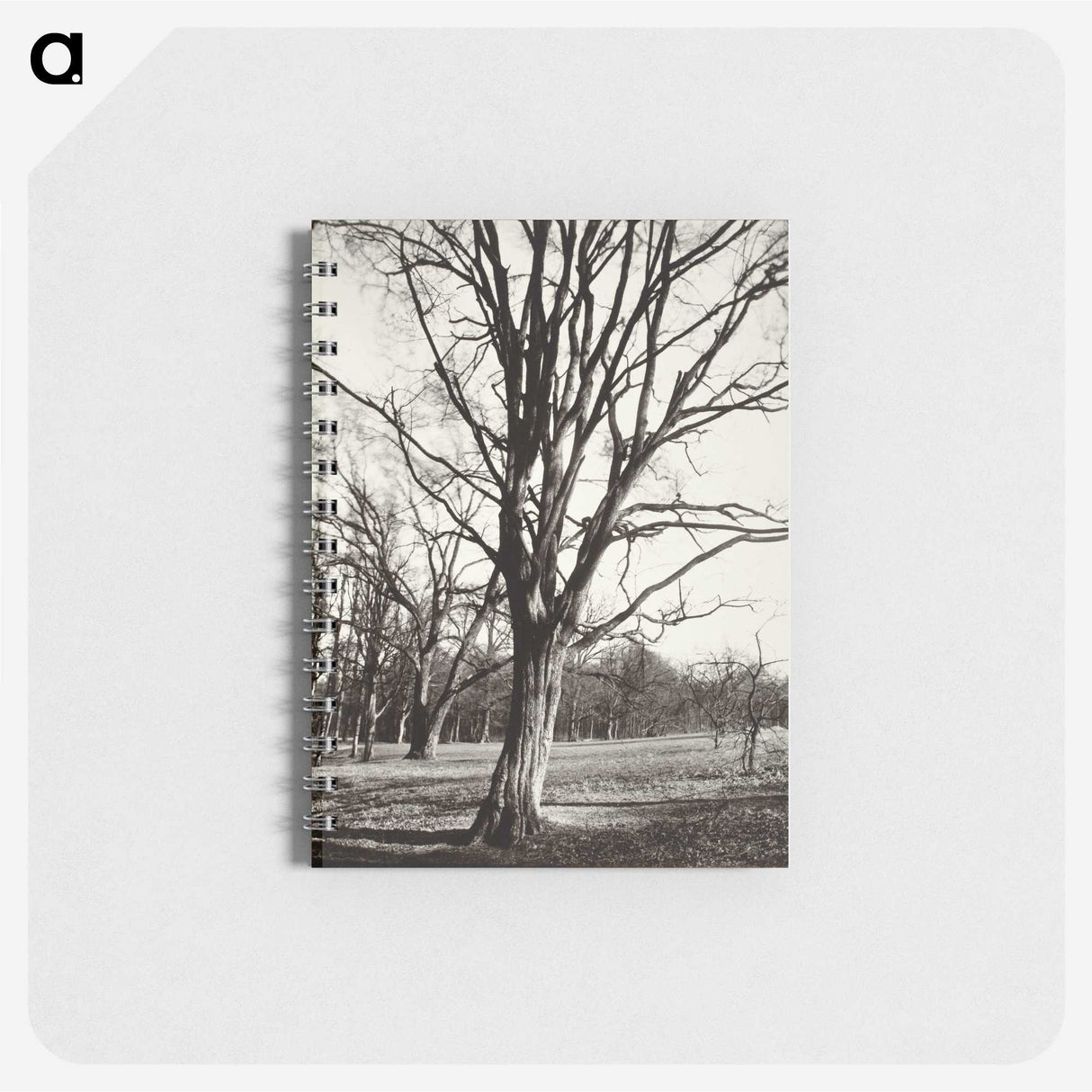 1-97_Eugene-Atget_memo