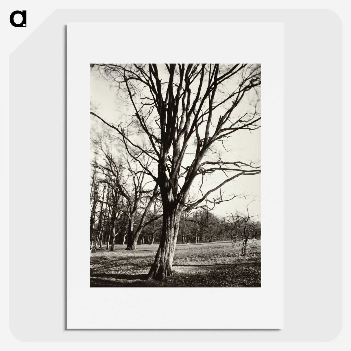 1-97_Eugene-Atget_picture