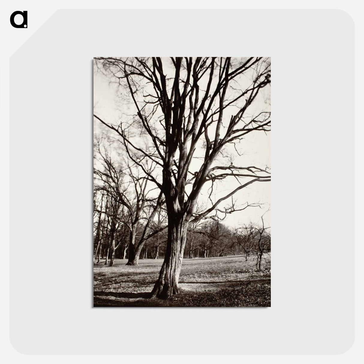アートポストカード-Environs Of Paris
- ウジェーヌ アジェ Postcard.