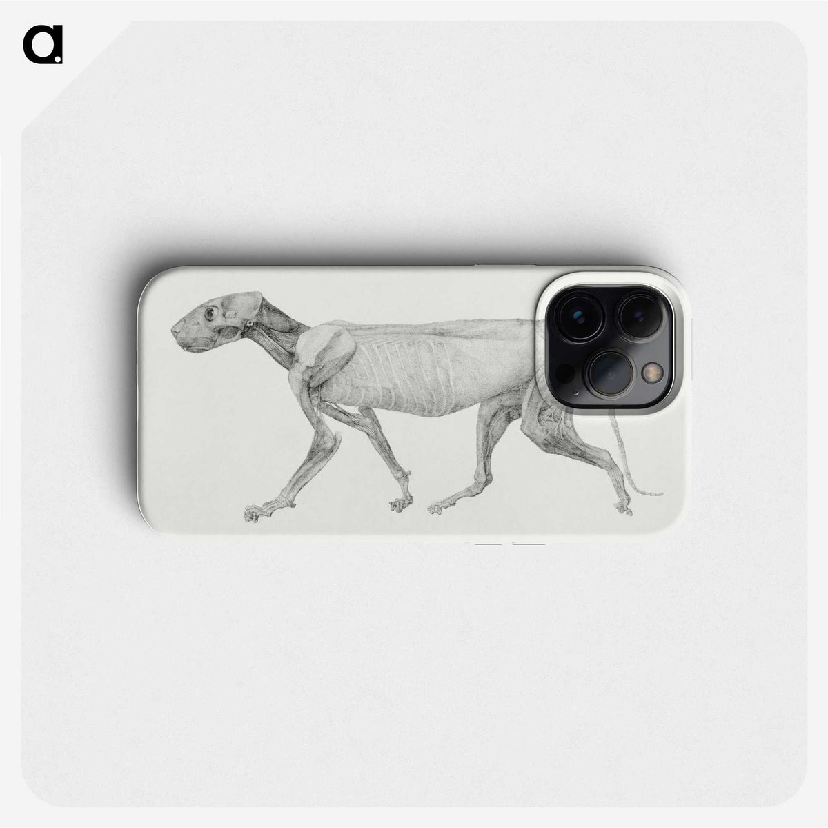 1-97_George-Stubbs_phone