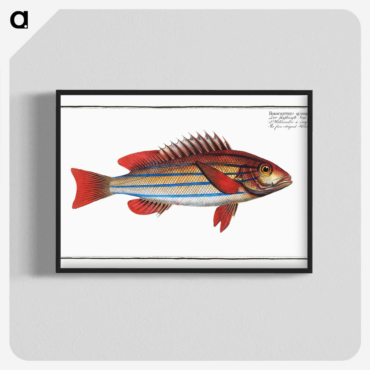 1-97_Ichtyologie-ou-Histoire-naturelle_blk-crop