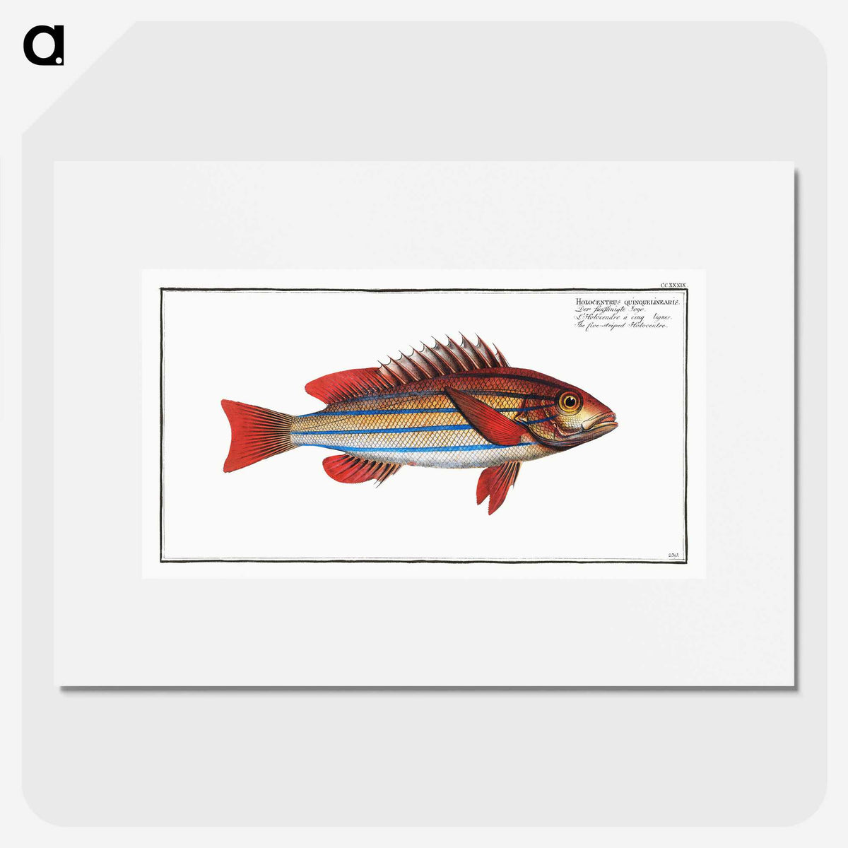 1-97_Ichtyologie-ou-Histoire-naturelle_picture