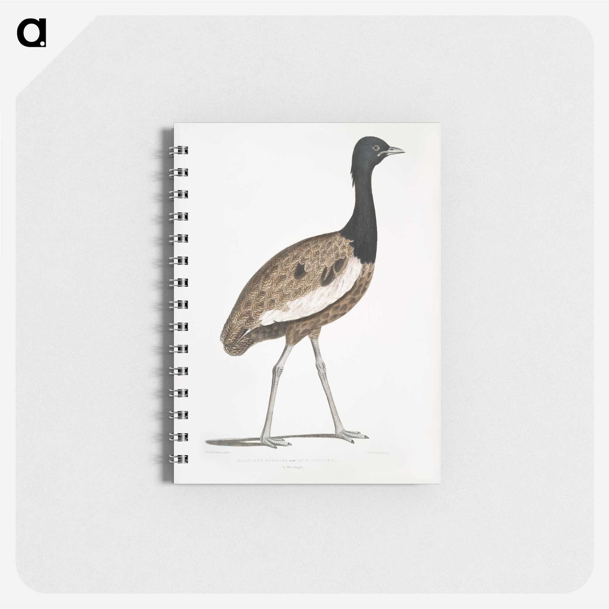 1-97_Indian-Zoology_memo