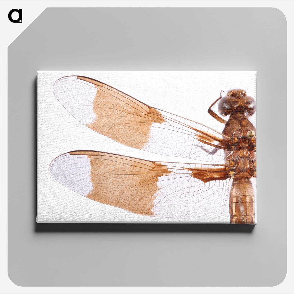 1-97_Insects-Unlocked-Project_canvas