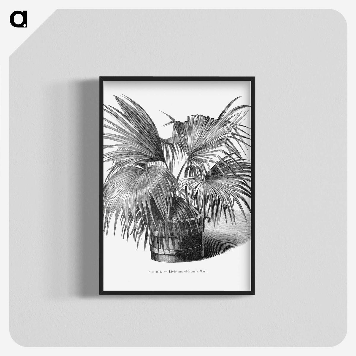 1-97_Les-Palmiers-Histoire-Iconographique_blk-crop