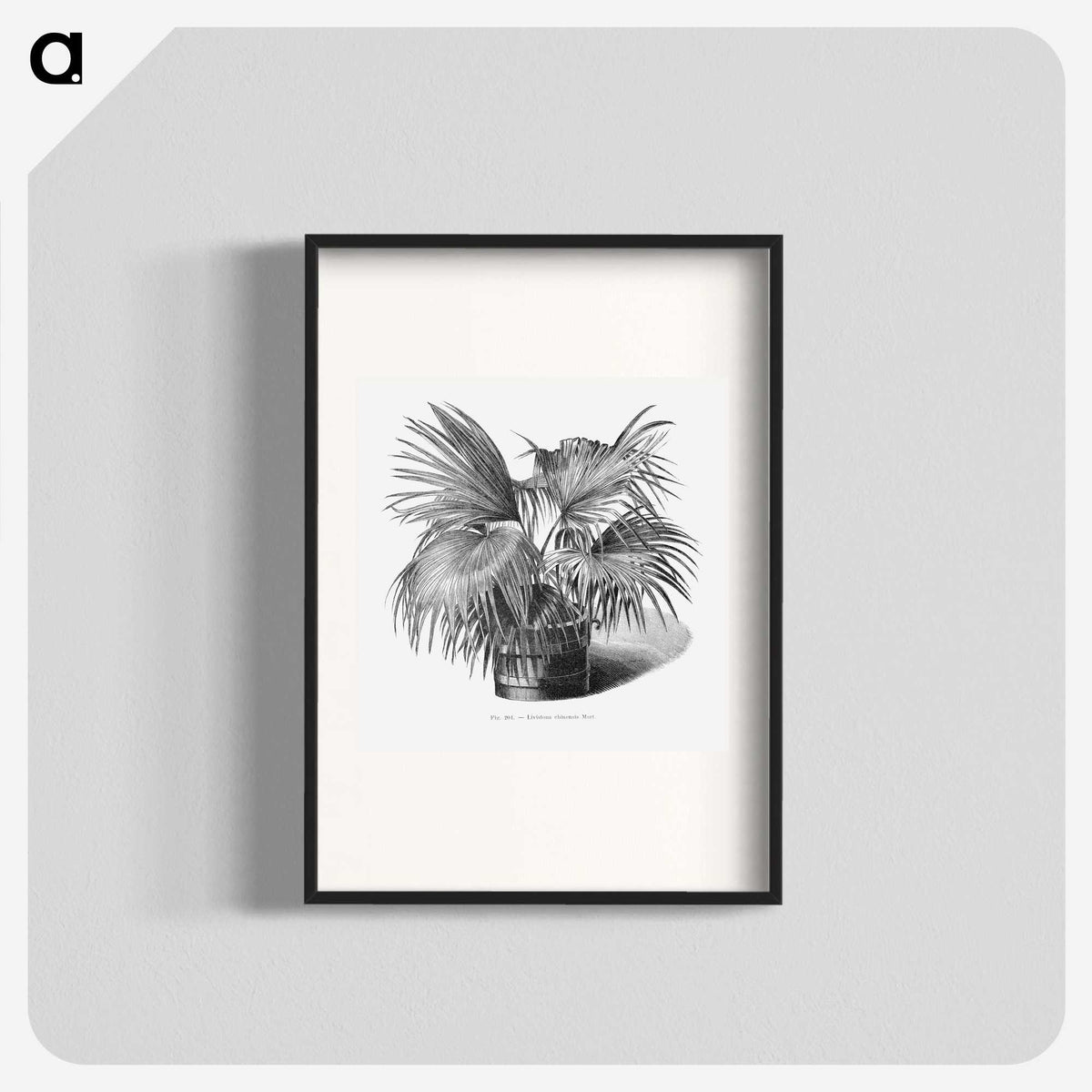1-97_Les-Palmiers-Histoire-Iconographique_blk