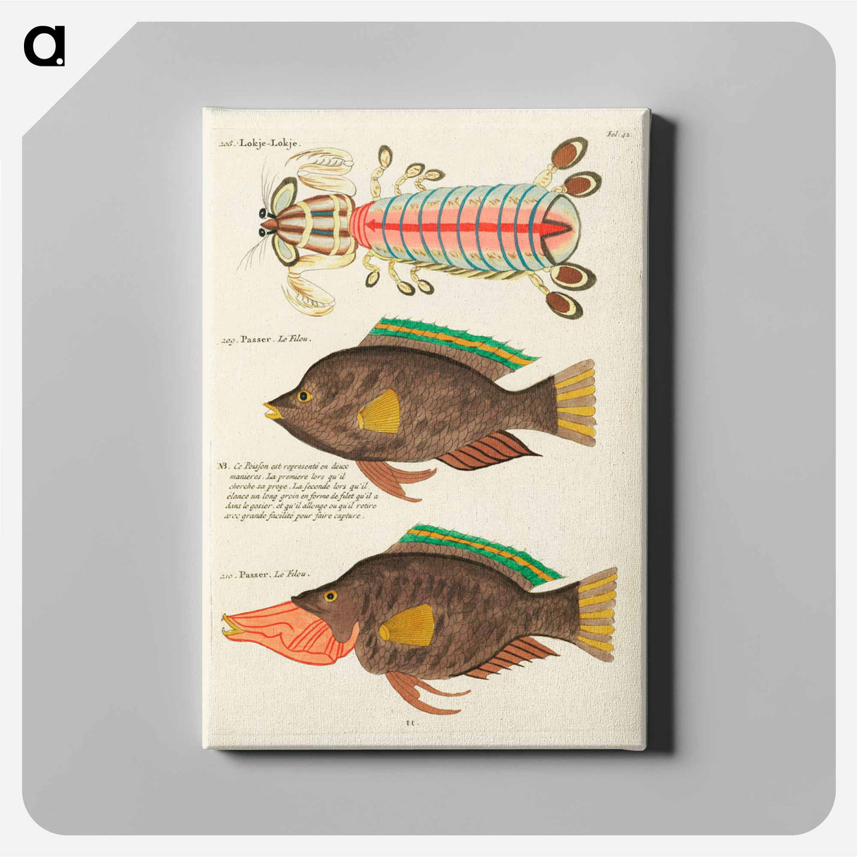 アートパネル-Moluccan Fishes
- ルイ ルナール Canvas.