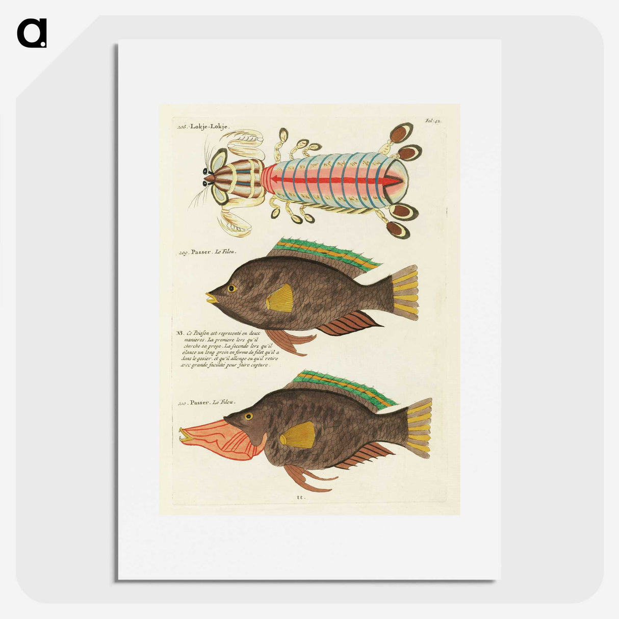 1-97_Louis-Renard_picture