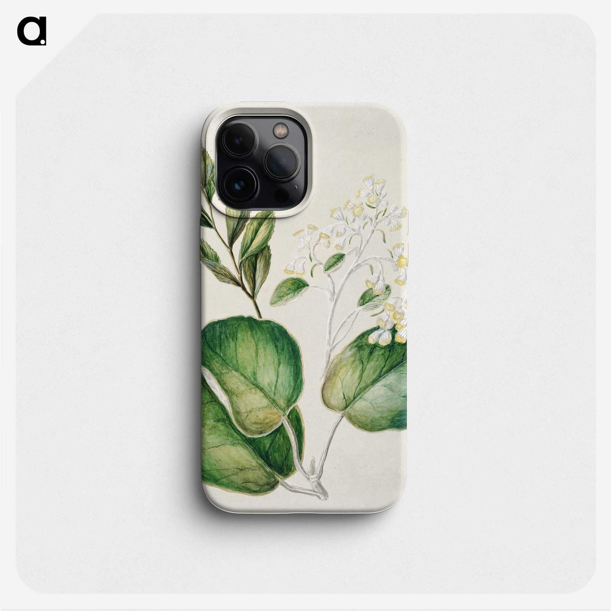 1-97_Native-Flowering-Plants-of-New-Zealand_phone