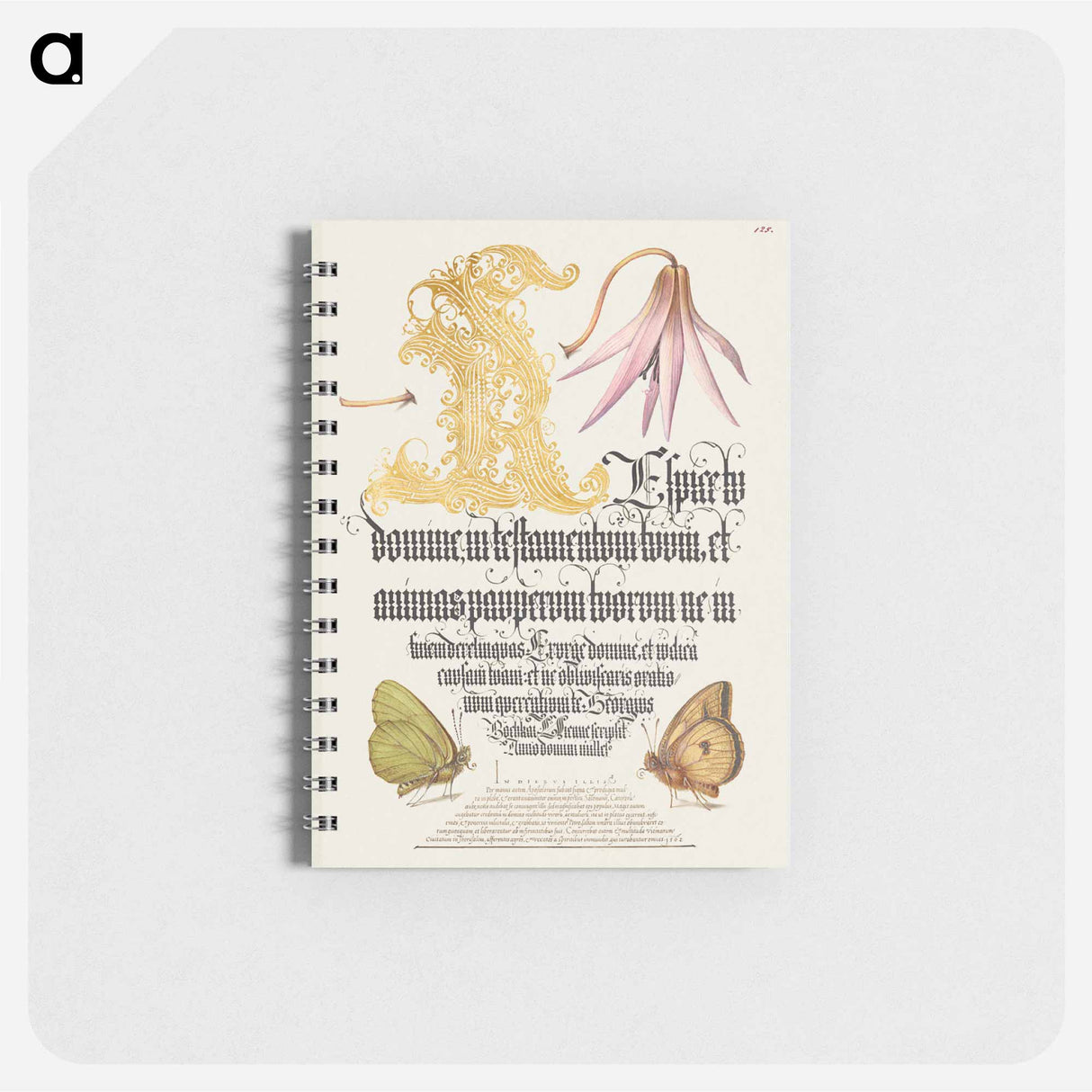 アートメモ帳-Dog-Tooth Violet and Butterflies from Mira Calligraphiae Monumenta
- 書道のお手本 Memo.