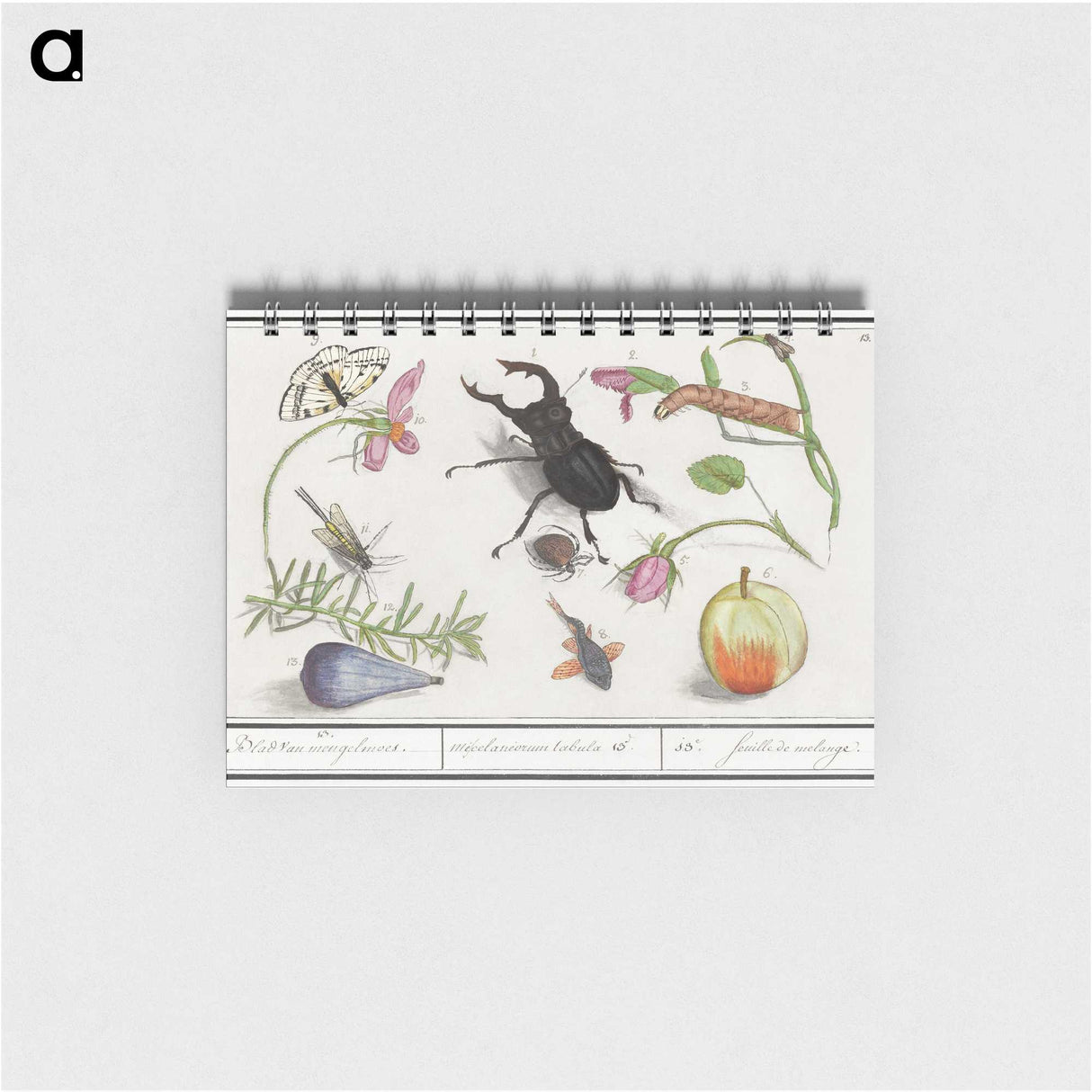 1-98_Anselmus-Boetius-de-Boodt_memo