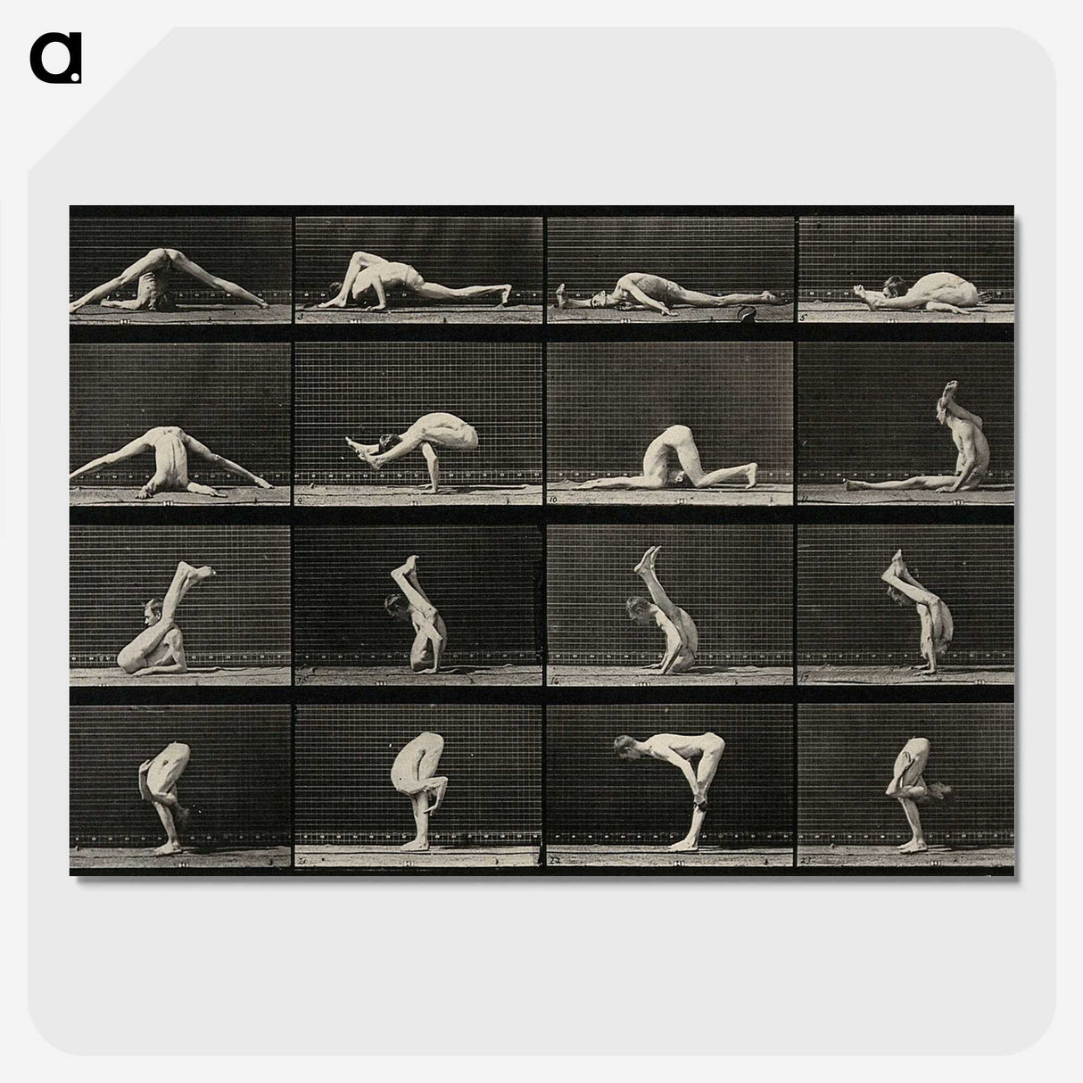 1-98_Eadweard-Muybridge_picture-crop