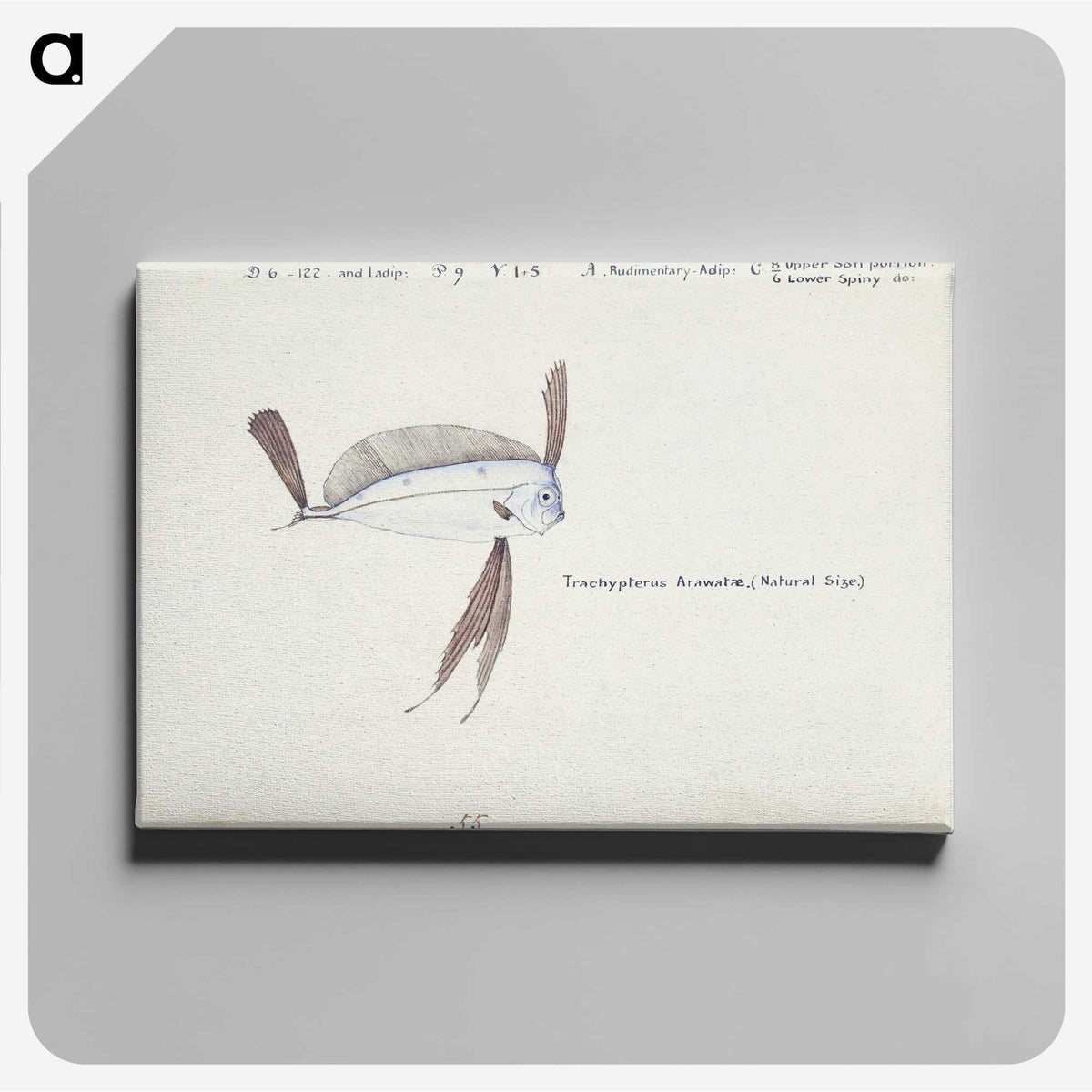 1-98_Frank-Edward-Clarke_canvas