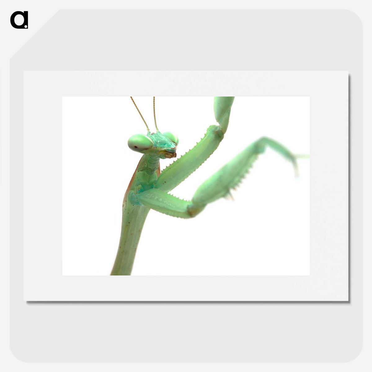 1-98_Insects-Unlocked-Project_picture