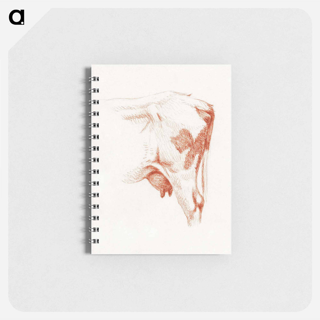 Back legs of a cow - ジャン ベルナール Memo.