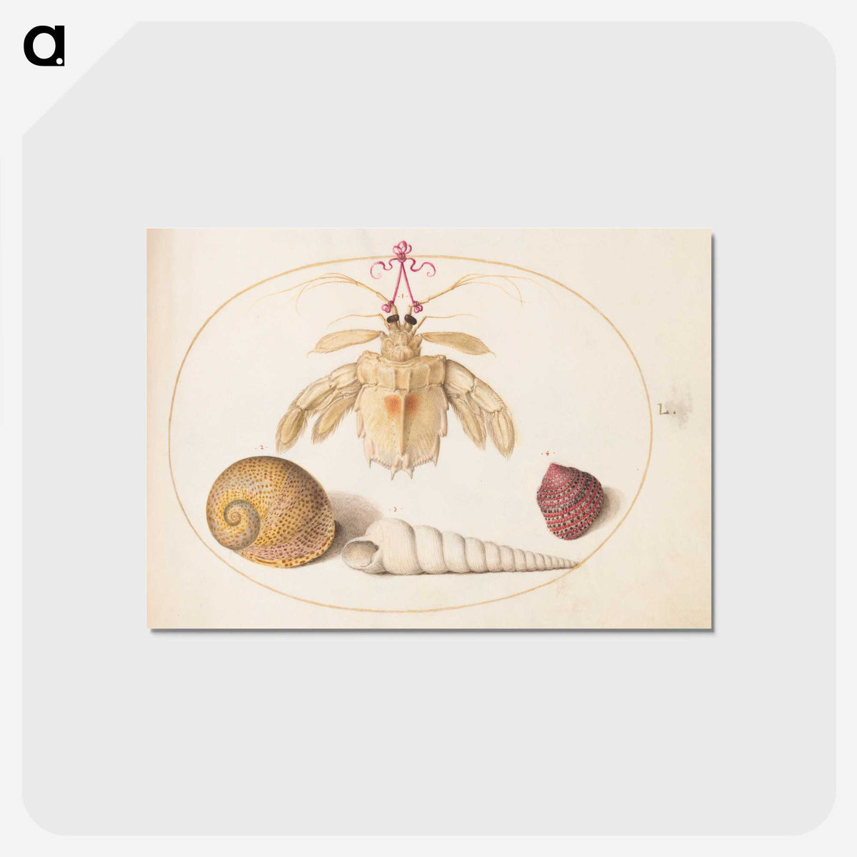 1-98_Joris-Hoefnagel_postcard