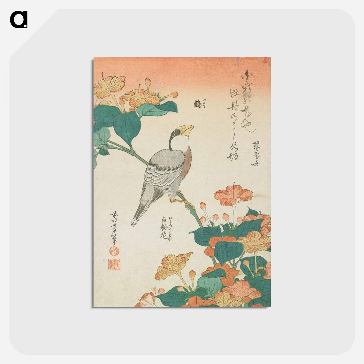 アートポストカード-Hawfinch and Marvel-of-Peru - 葛飾 北斎 Postcard.