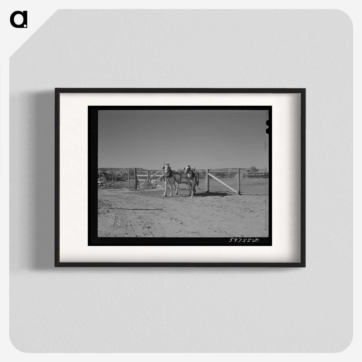 1-98_Marion-Post-Wolcott_blk