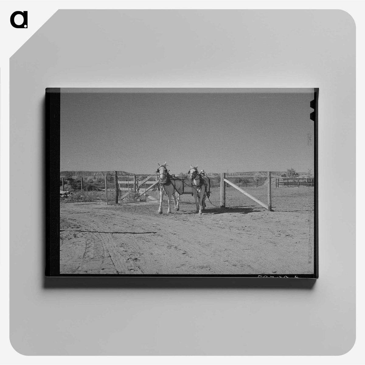 1-98_Marion-Post-Wolcott_canvas