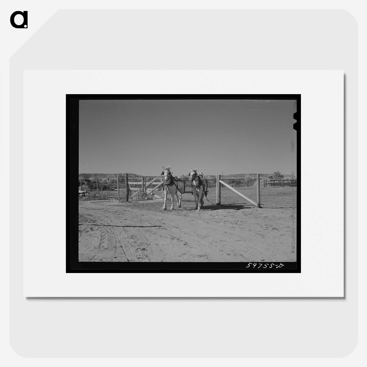 1-98_Marion-Post-Wolcott_picture