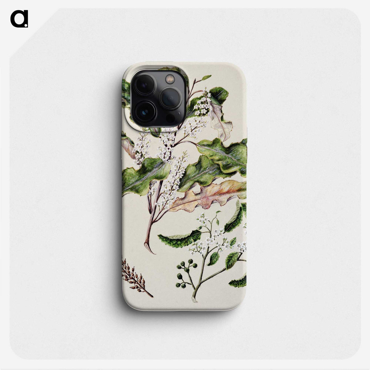 1-98_Native-Flowering-Plants-of-New-Zealand_phone