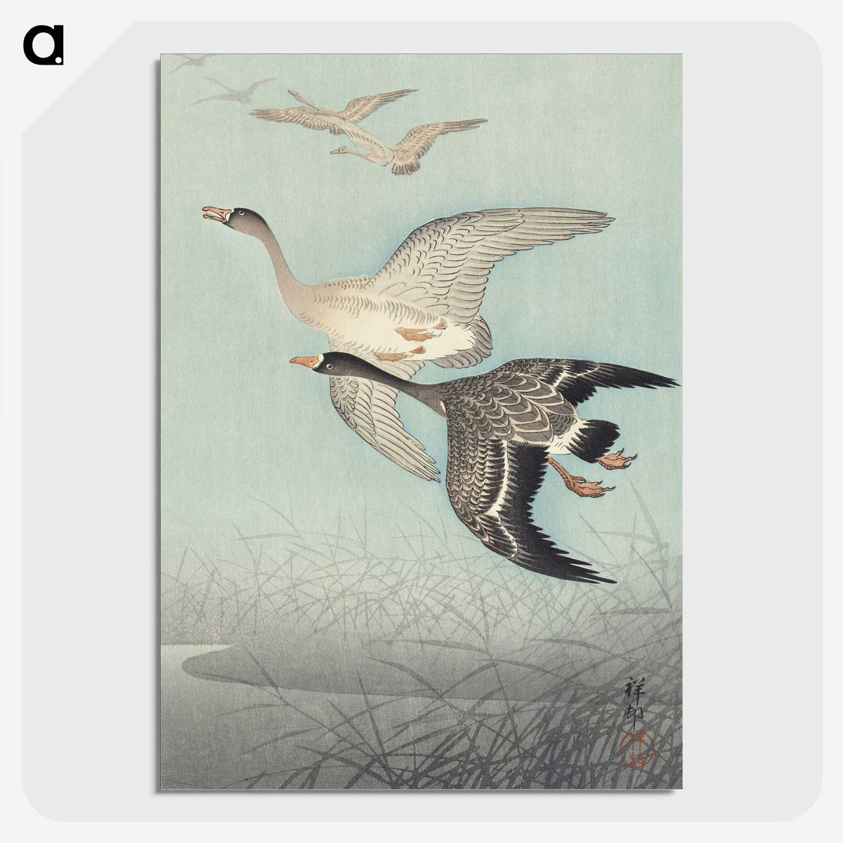 1-98_Ohara-Koson_picture-crop