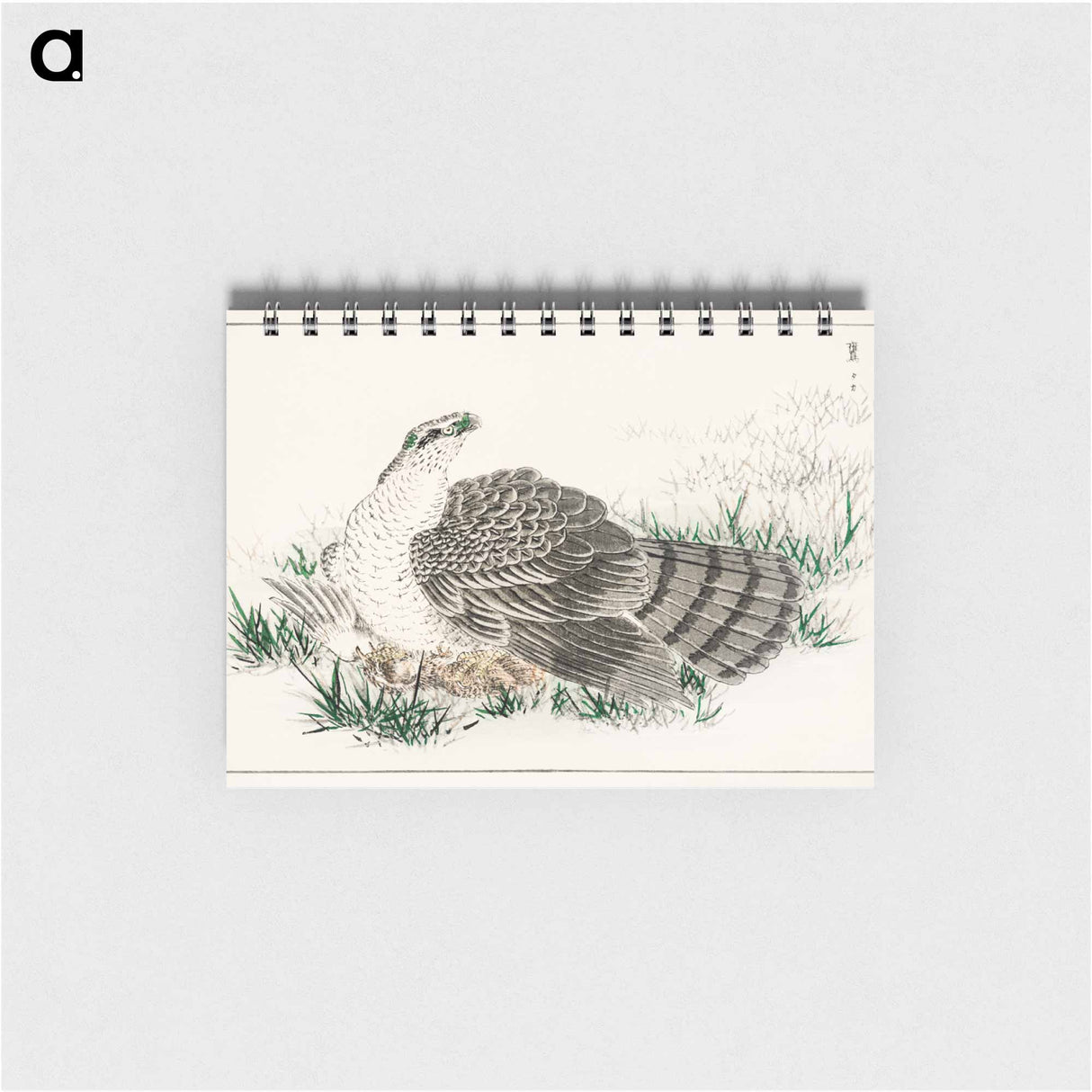 アートメモ帳-Japanese Hawk-Eagle Illustration
- 鳥類図鑑 Memo.