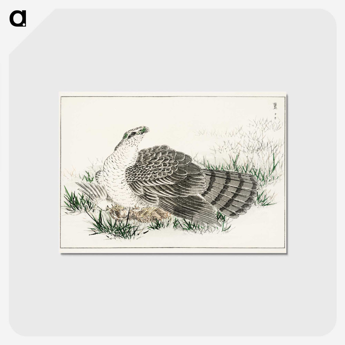 1-98_Pictorial-Monograph-of-Birds_postcard