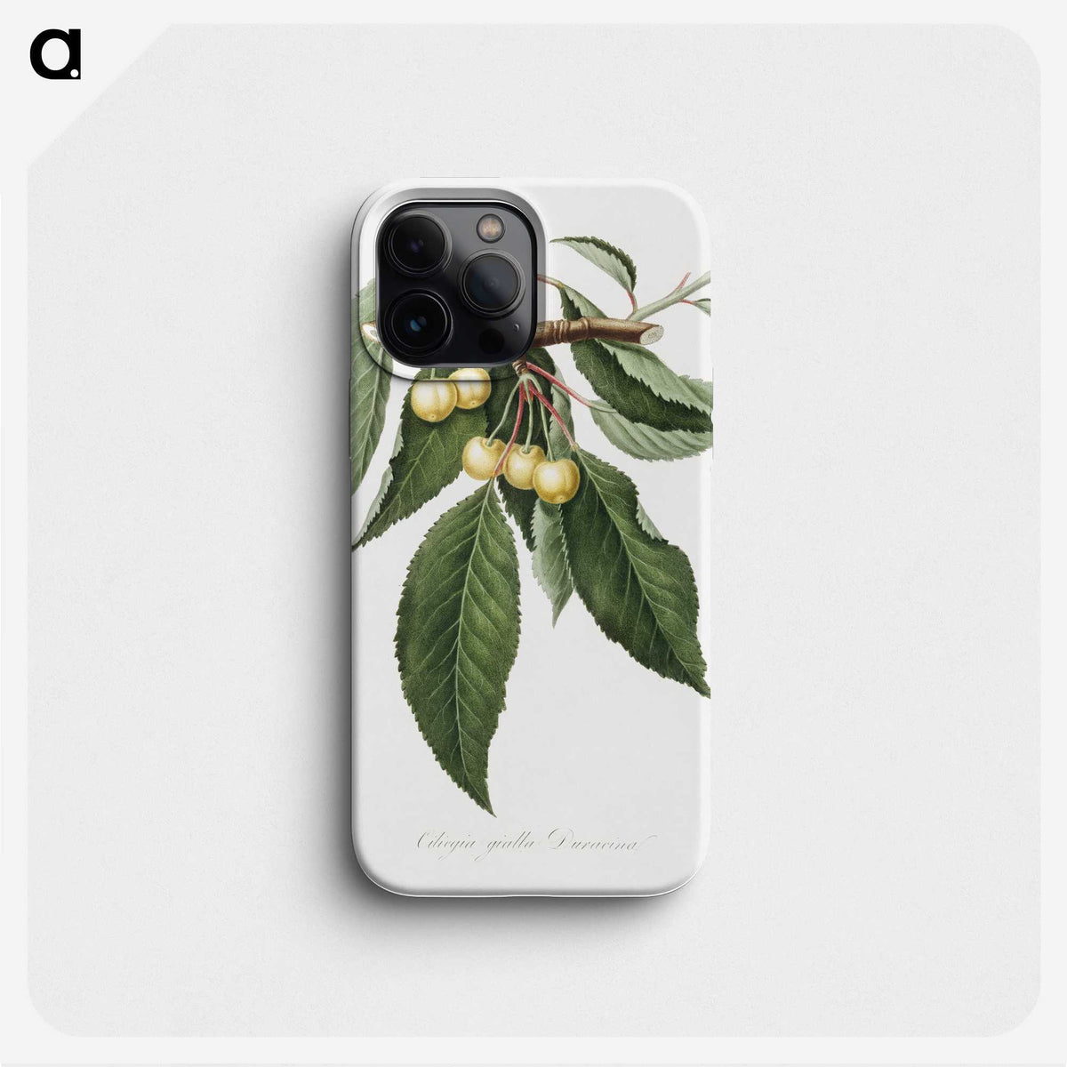 1-98_Pomona-Italiana_phone
