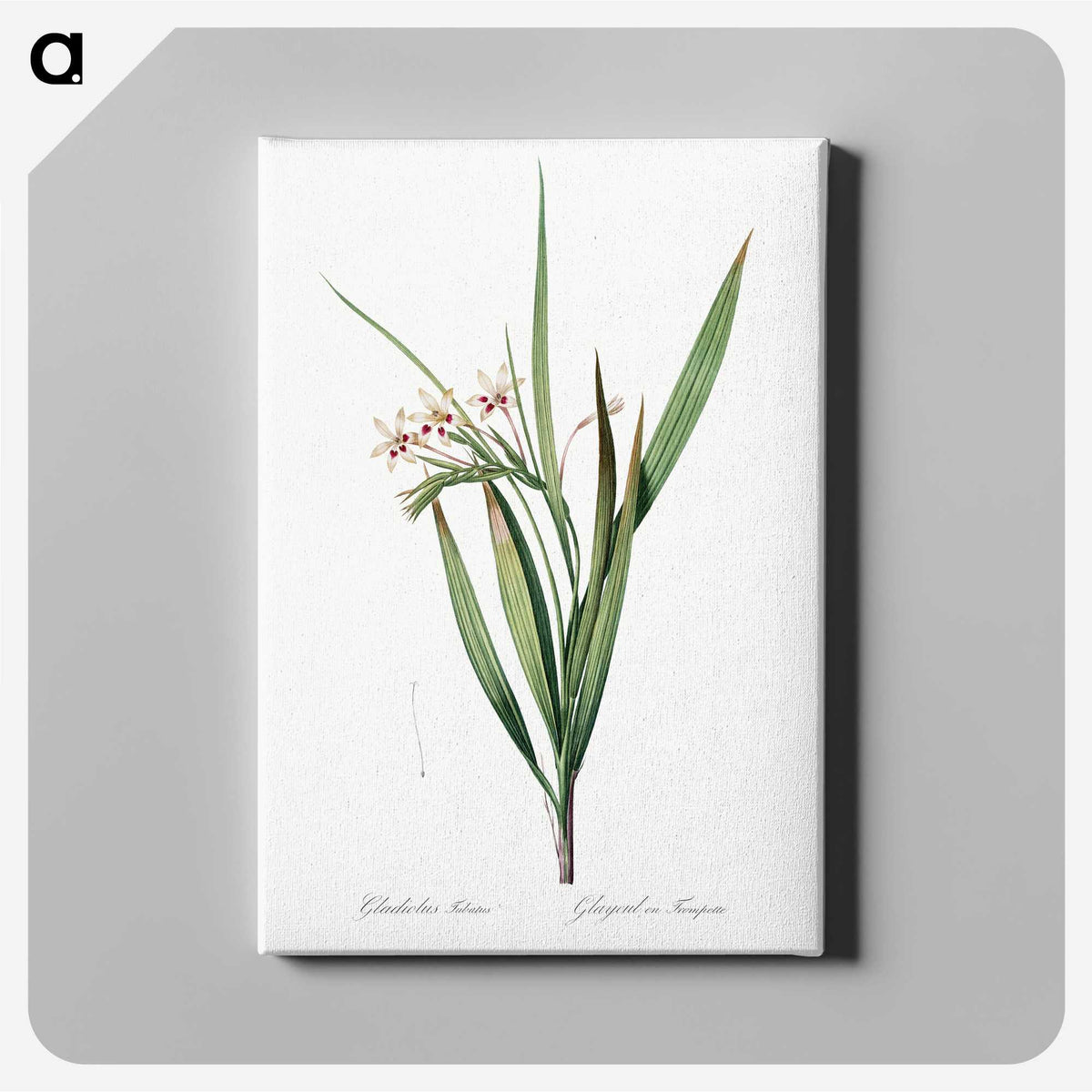1-98_The-Lilies_canvas