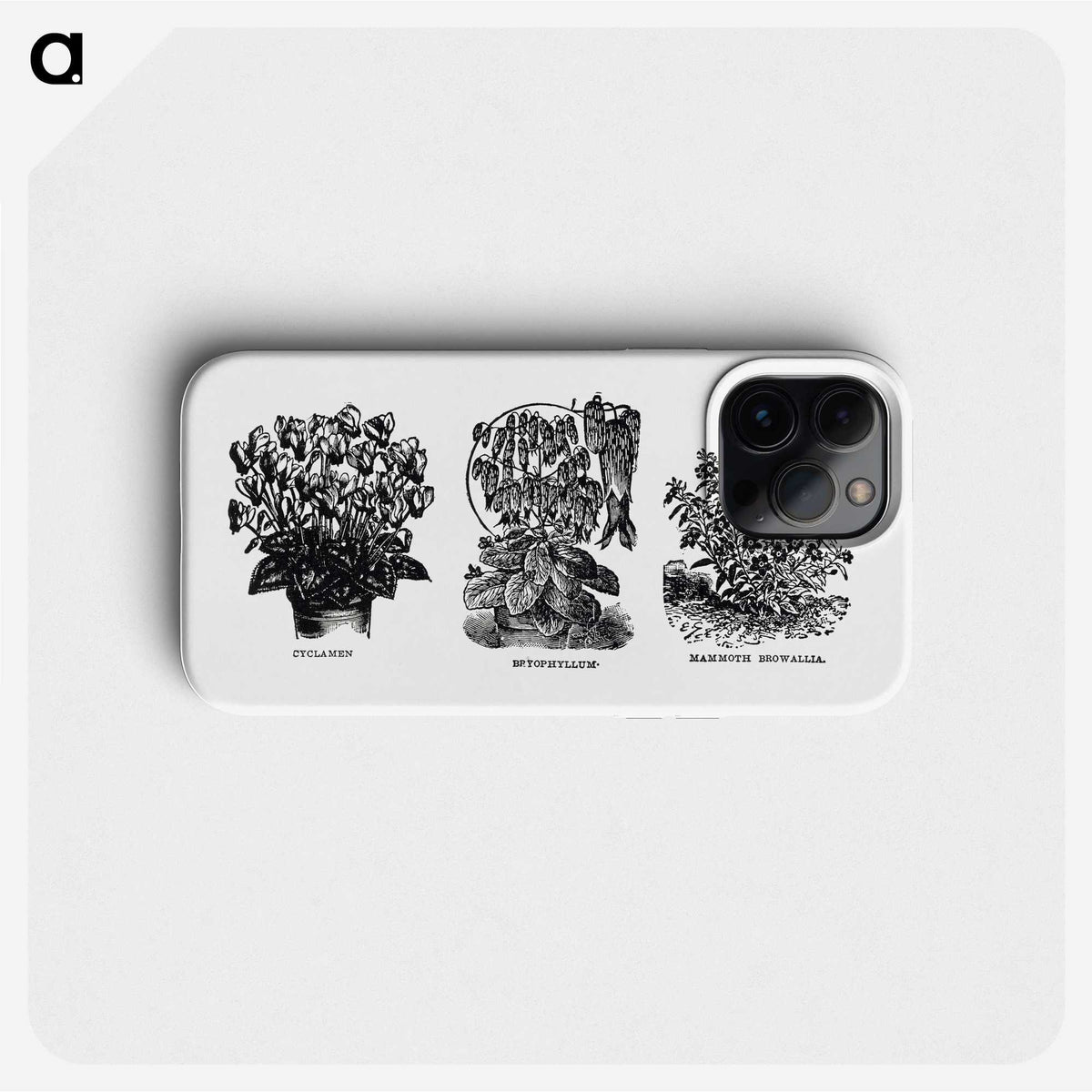 1-98_The-Open-Door-to-Independence_phone