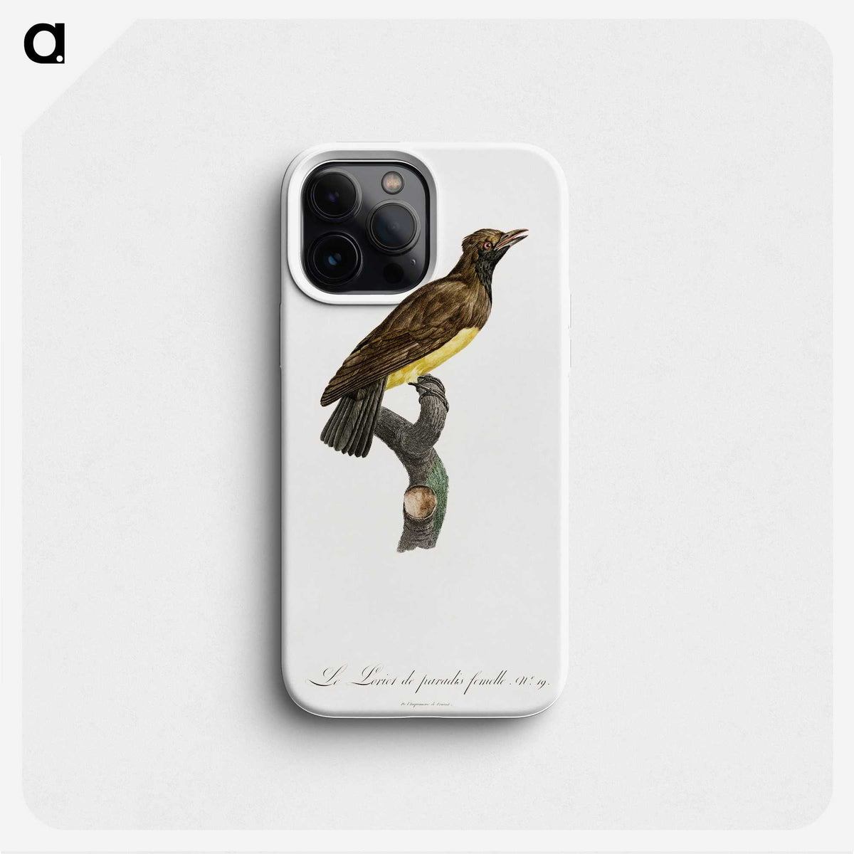 1-99_Des-Oiseaux-de-Paradis_phone