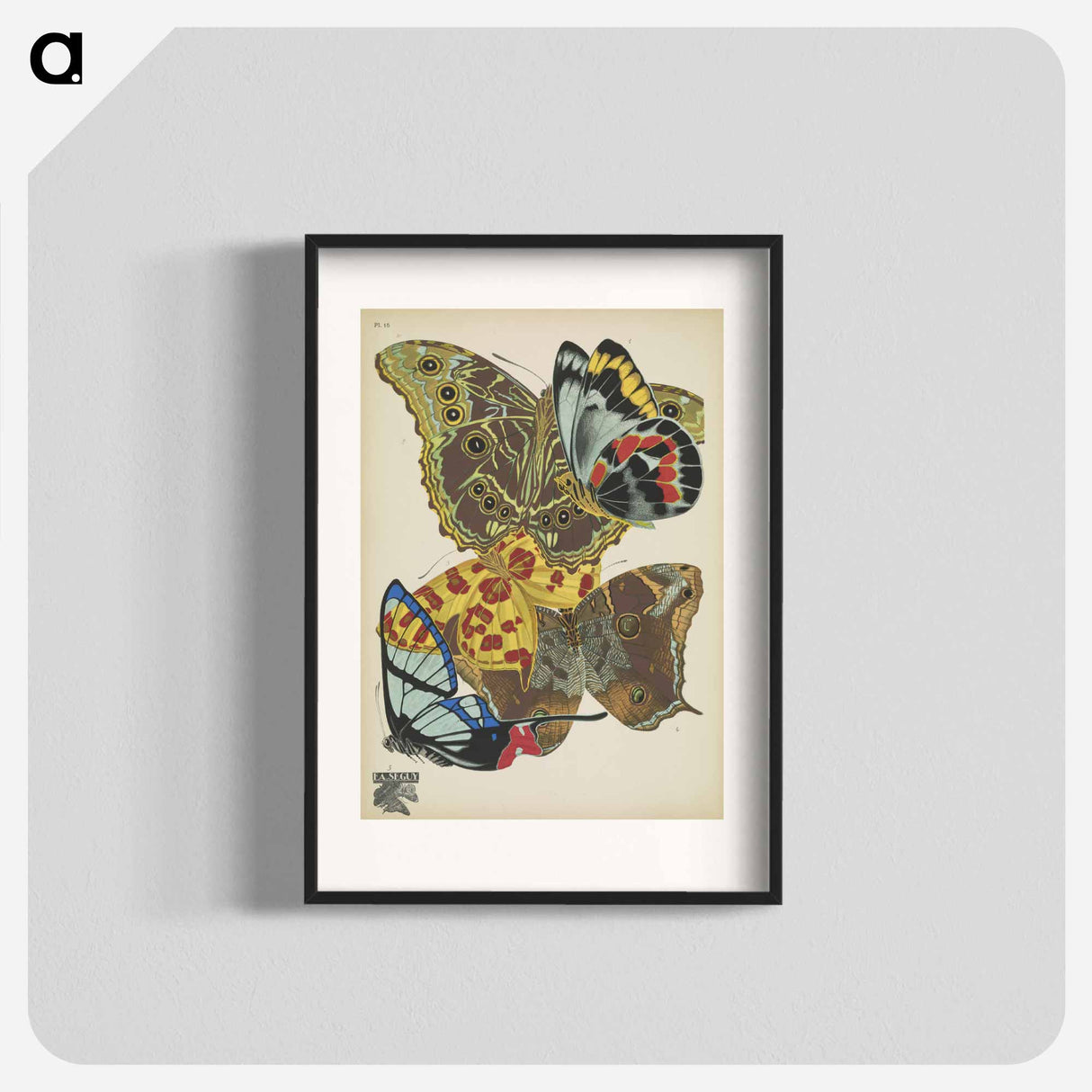 E.A. Séguy's vintage butterflies insect illustration - E.A.セギー Poster.