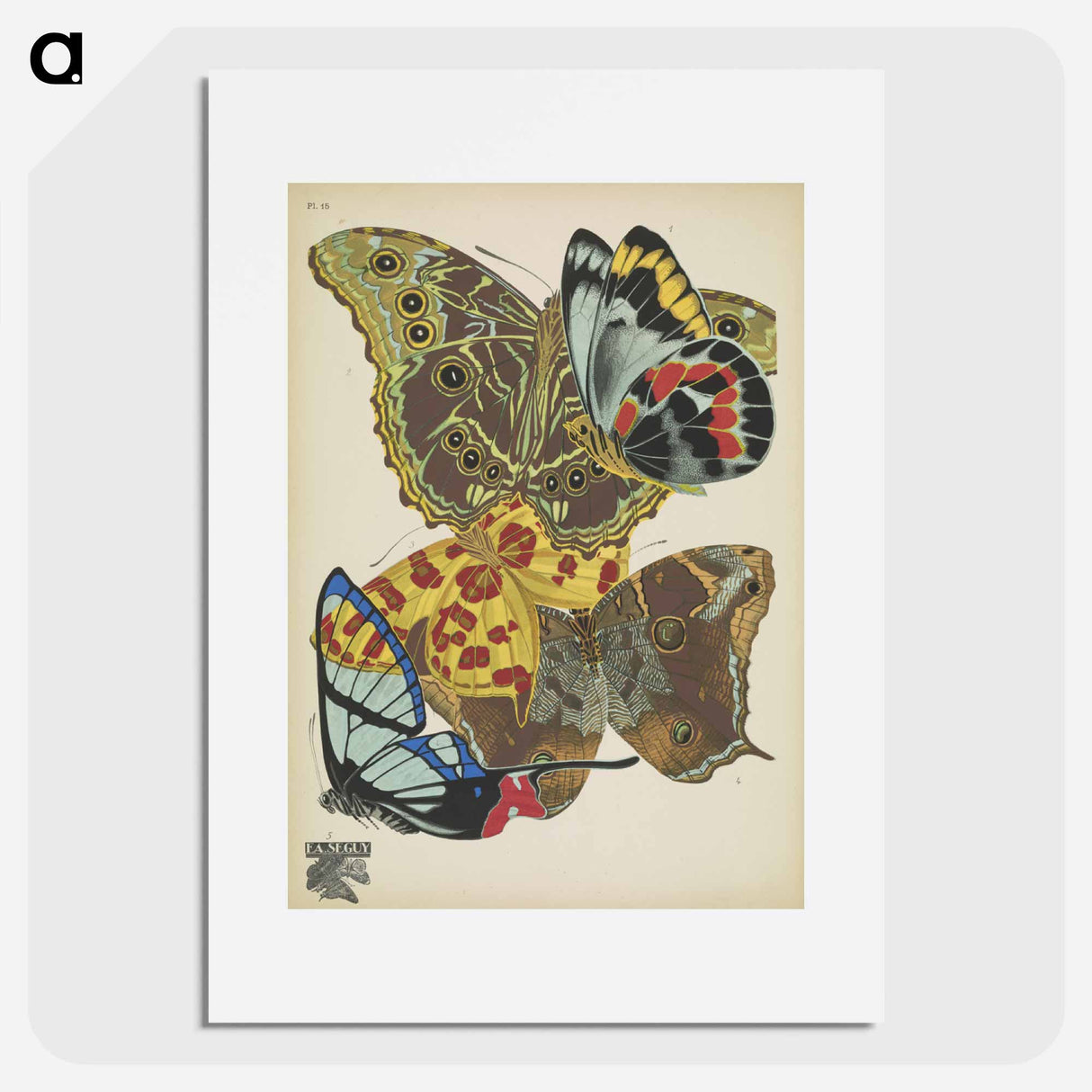 E.A. Séguy's vintage butterflies insect illustration - E.A.セギー Poster.
