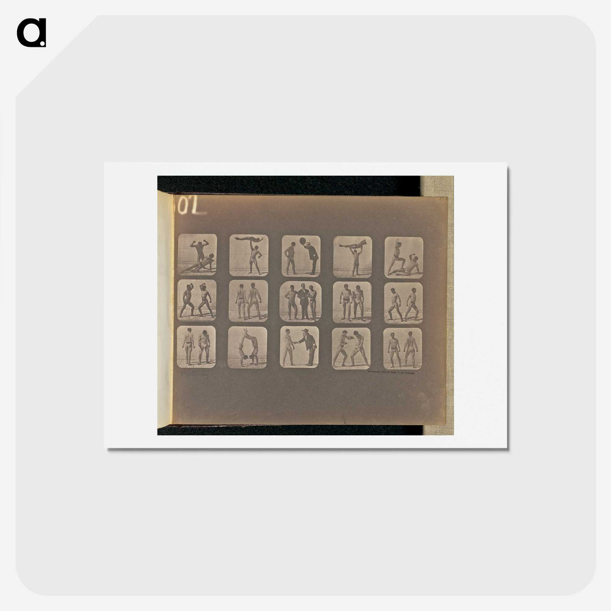 1-99_Eadweard-Muybridge_hagaki