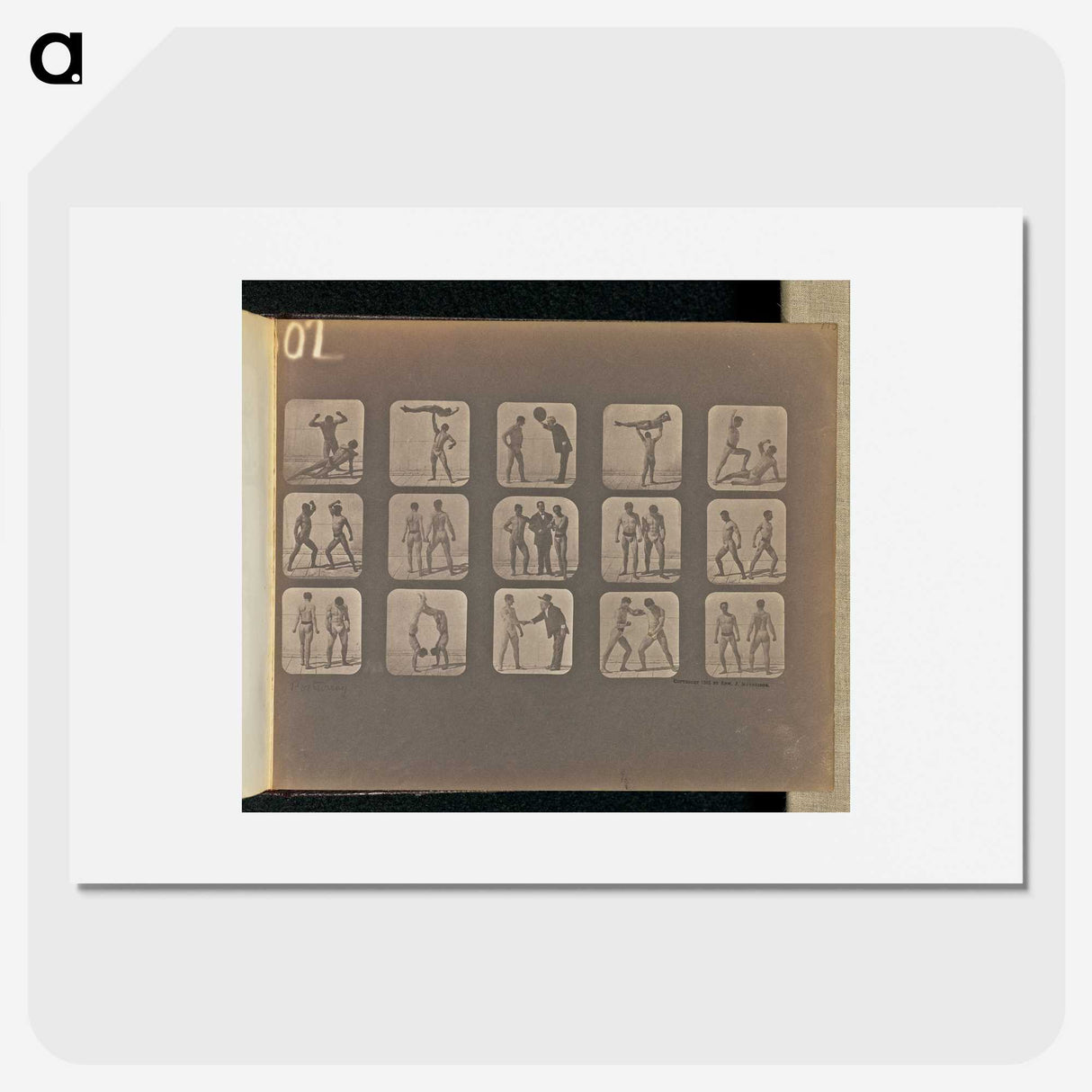 1-99_Eadweard-Muybridge_picture