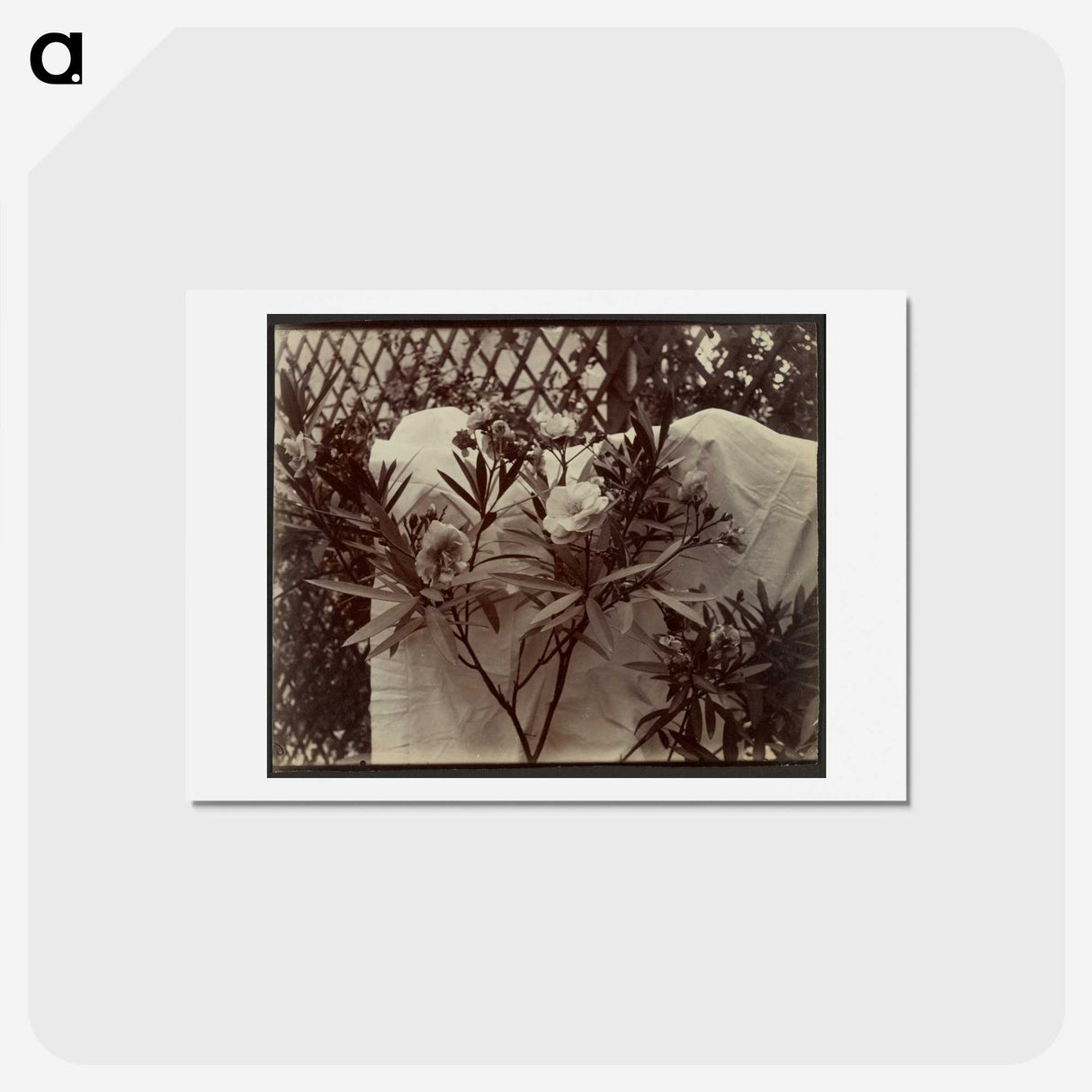 1-99_Eugene-Atget_hagaki