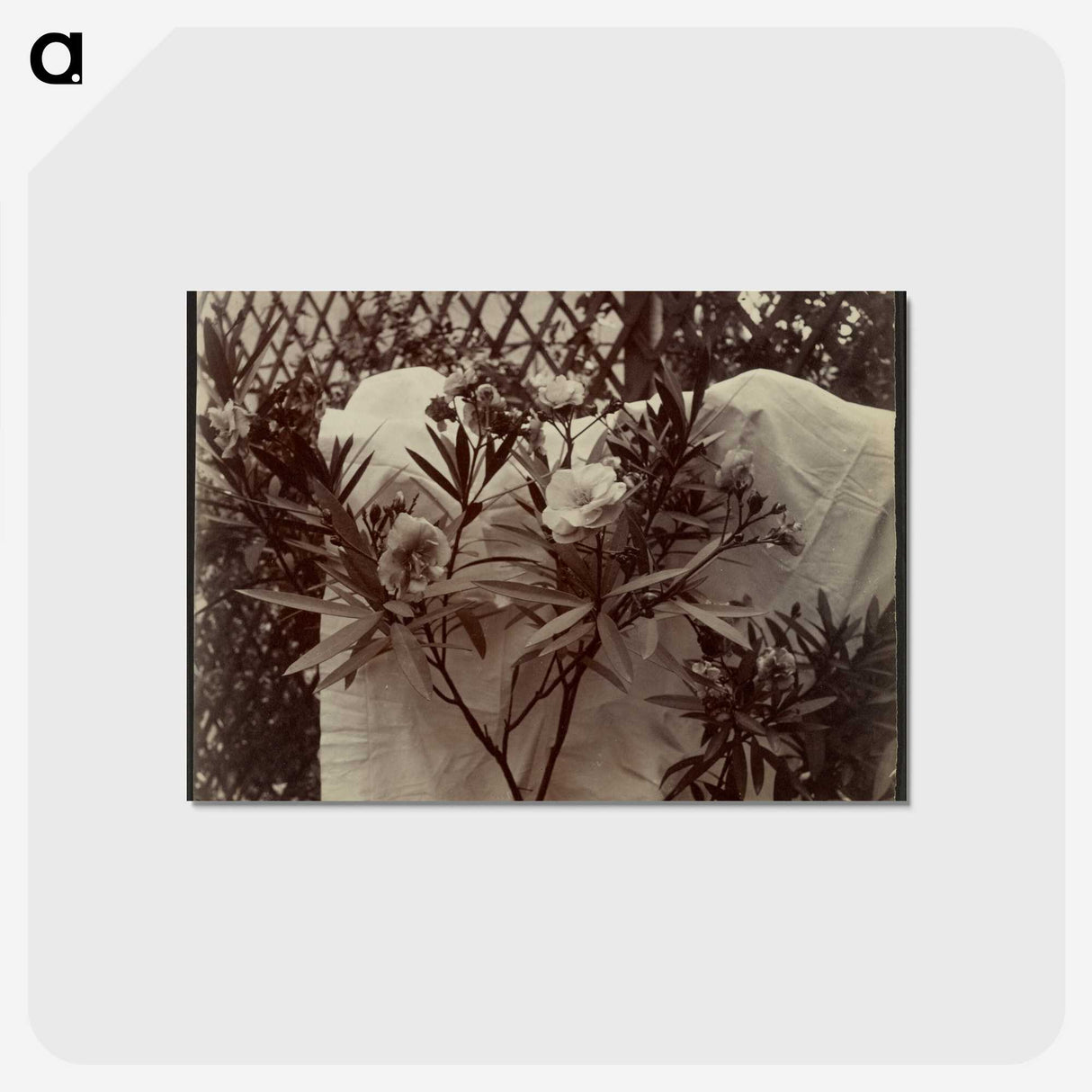 1-99_Eugene-Atget_postcard
