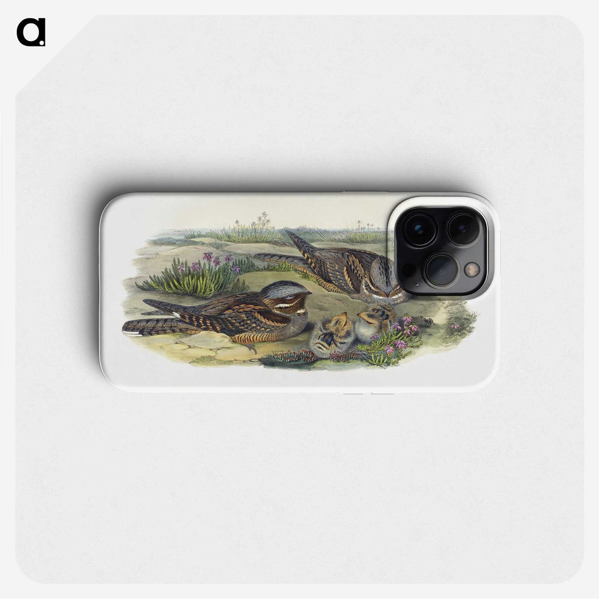 1-99_John-Gould_phone