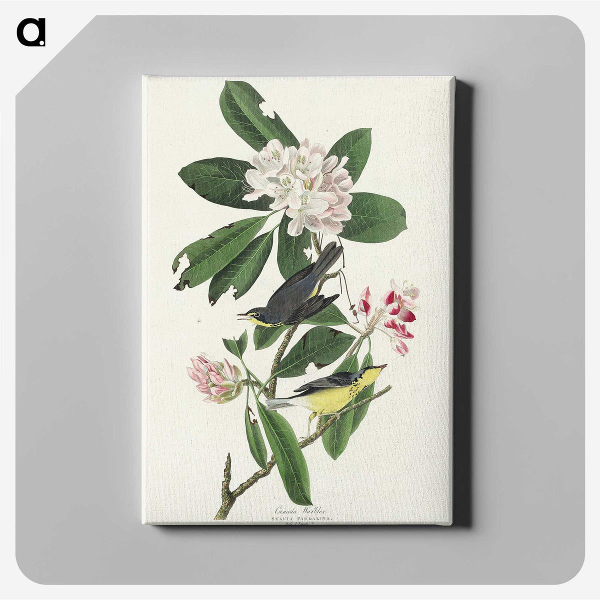 1-99_John-James-Audubon_canvas