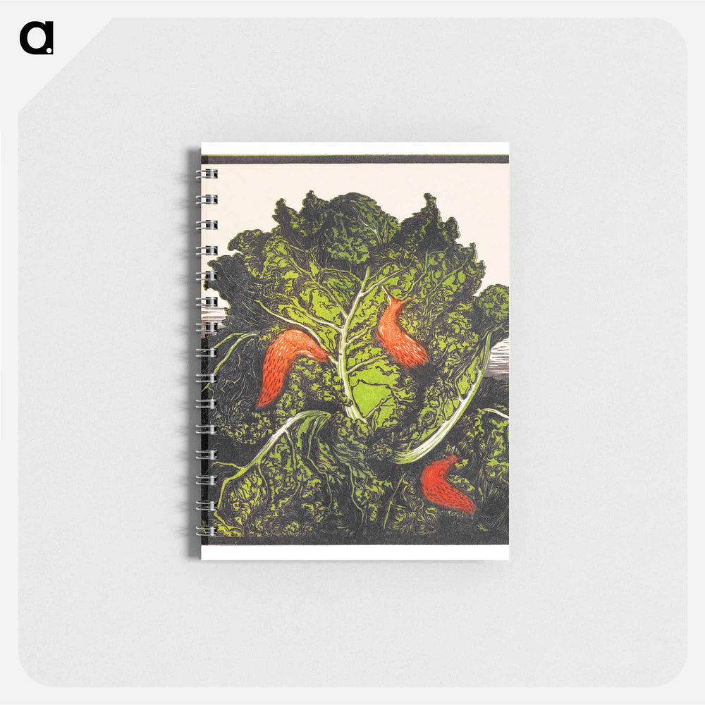 Three slugs on a cabbage - ユリー デ フラーハ Memo.